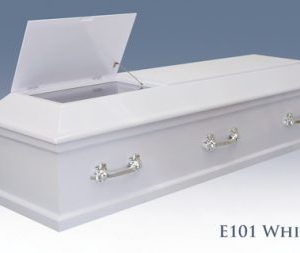 E101 White