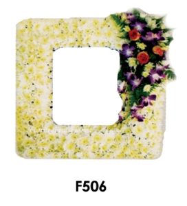 F506
