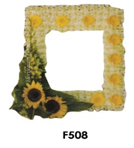 F508