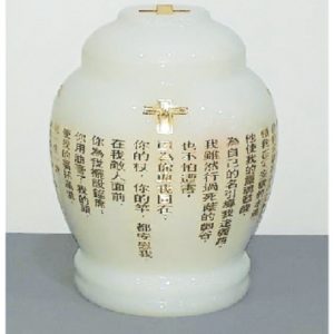 U6
